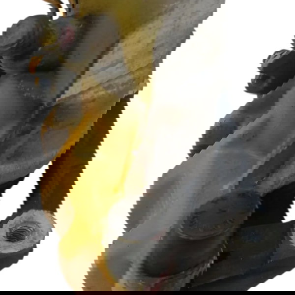 Pinça Freio Traseira Esquerda Volvo C30 T5 2.5 2011 2012