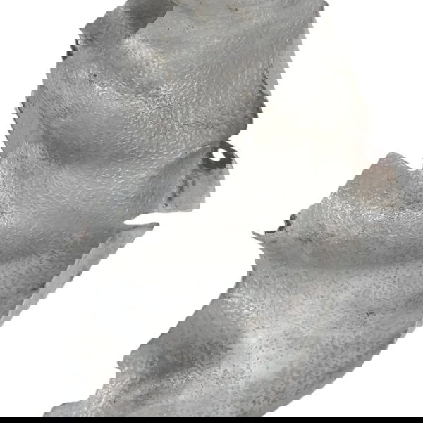 Protetor Calor Escape Chevrolet Astra 2.0 2008 2009 Detalhe