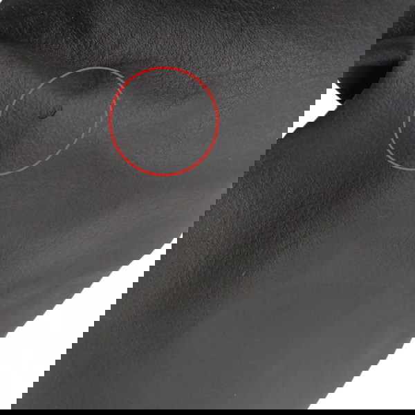 Coifa Alavanca Marcha Renault Scenic 2001 Detalhe