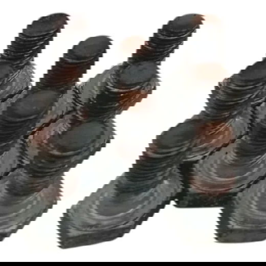 Parafusos Cremalheira Motor Citroen Xsara Picasso 2008 2009