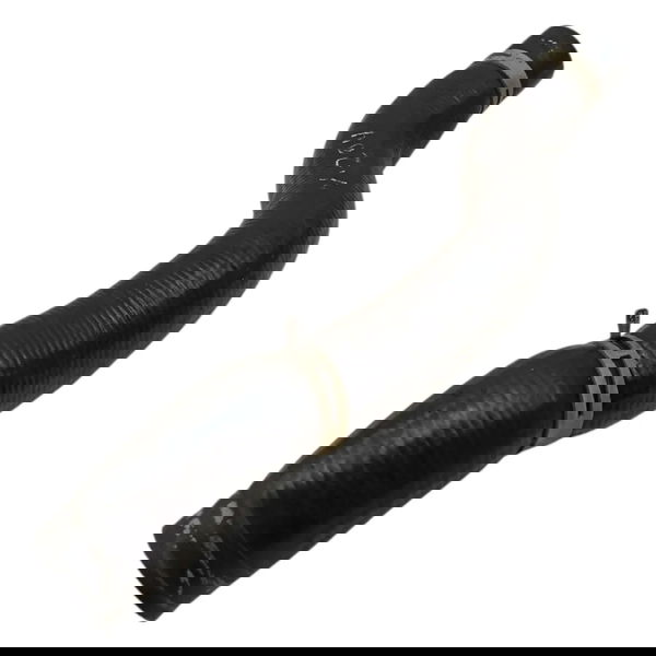 Mangueira Radiador Citroen Xsara Picasso Glx 2008 2009