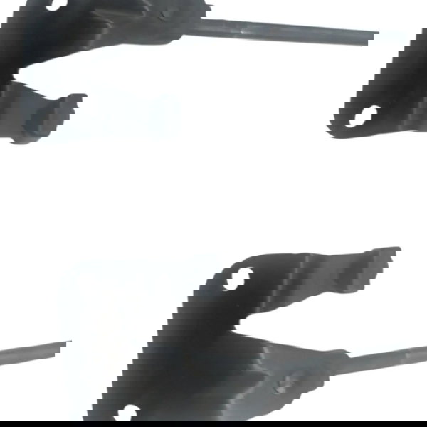 Par Amortecedor Tampa Traseira Bmw X1 S Drive N20 2.0 2015