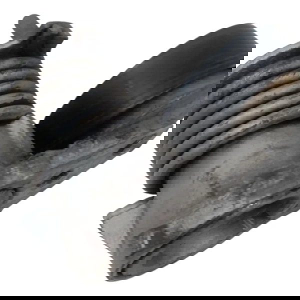 Tensor Correia Alternador Volvo C30 2.5 2008 2009 2010