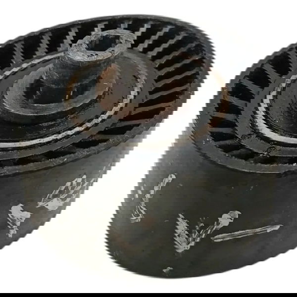 Polia Correia Alternador Peugeot 206 207 307 1.6 2019 2020 Preto