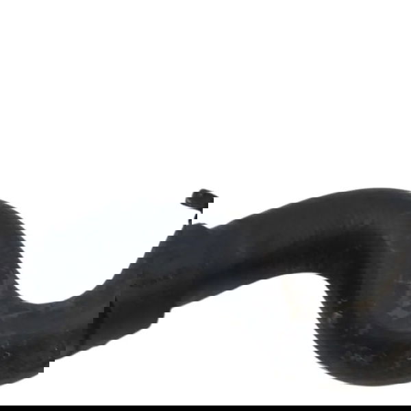 Mangueira Inferior Radiador Peugeot 308 2.0 2011 2012 2013