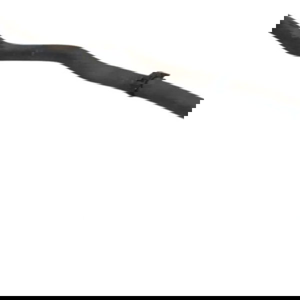 Mangueira Radiador Agua Motor Peugeot 308 2.0 2011 2012 2013