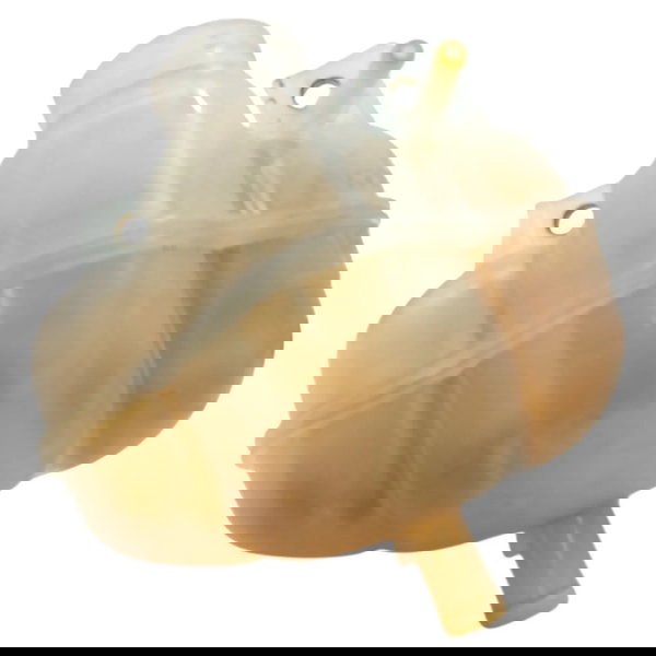 Reservatorio Agua Radiador Fiat Mobi 1.0 2020 2021 2022 2023