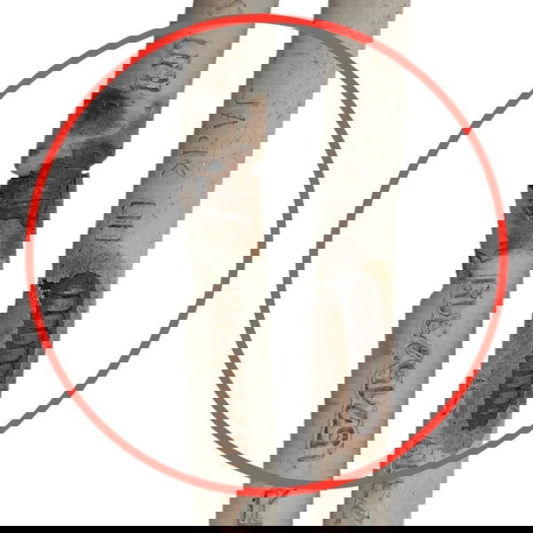 Par Cabo Freio Mão Fiat Mobi 1.0 2019 2020 2021 2022 2023