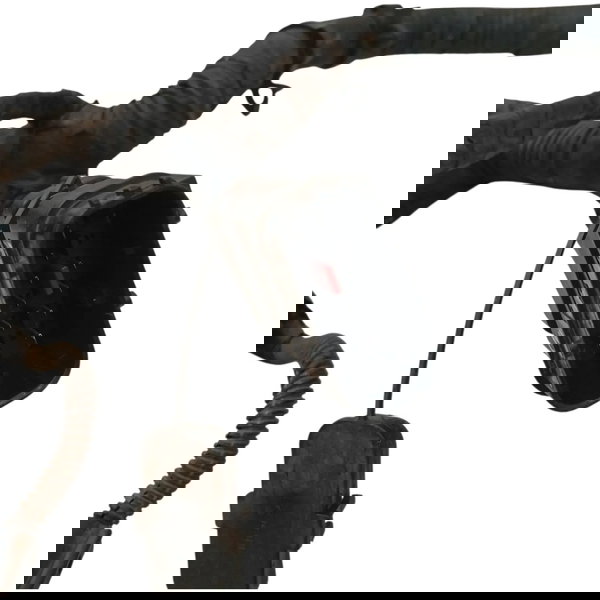 Chicote Injeção Motor Fiat Mobi 1.0 2019 2020 2021 2022