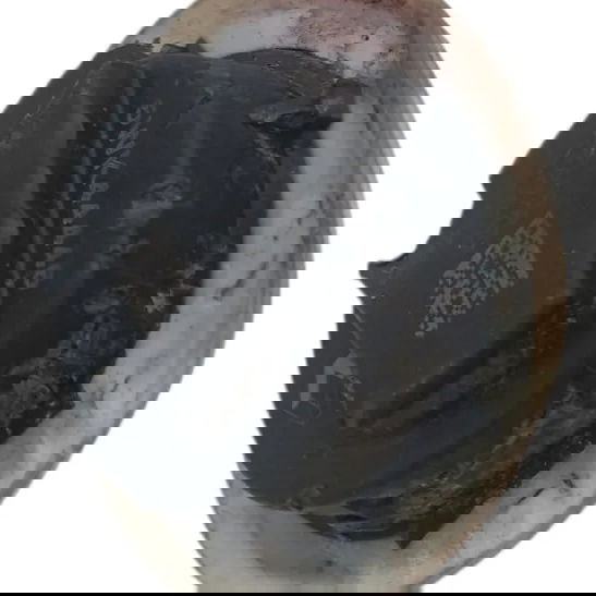 Sensor Air Bag Porta Renault Kwid 1.0 2019 2020 2021 2022