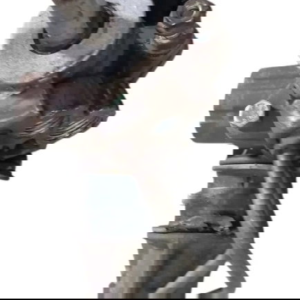 Caixa Direçao Hidraulica Renault Clio 1.0 2005 2006 Detalhe