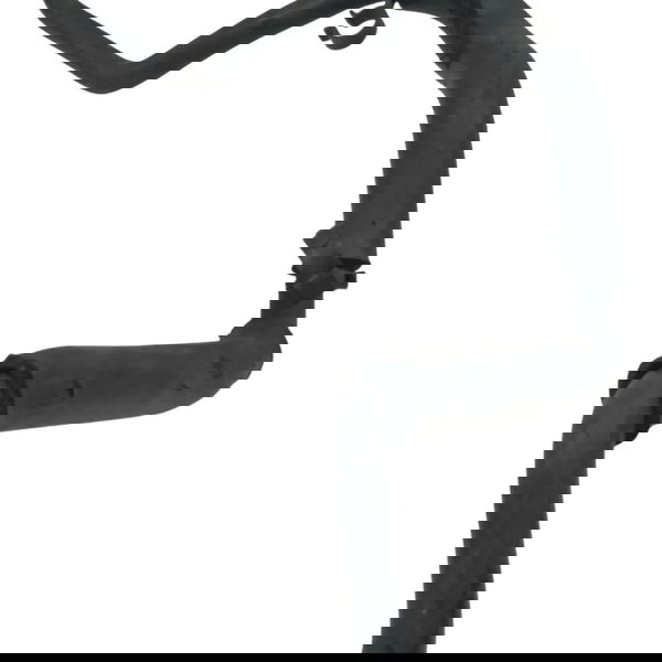 Mangueira Radiador Renault Clio 1.0 2002 2003 2004