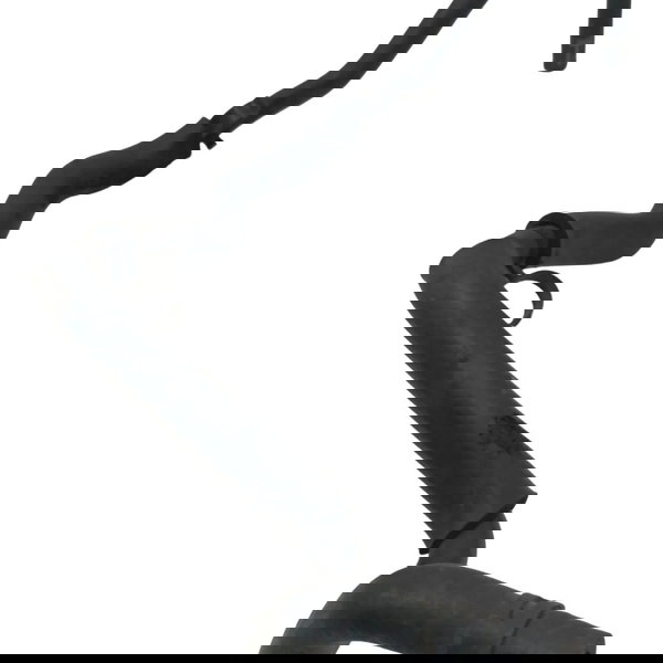 Mangueira Radiador Renault Clio 1.0 2002 2003 2004