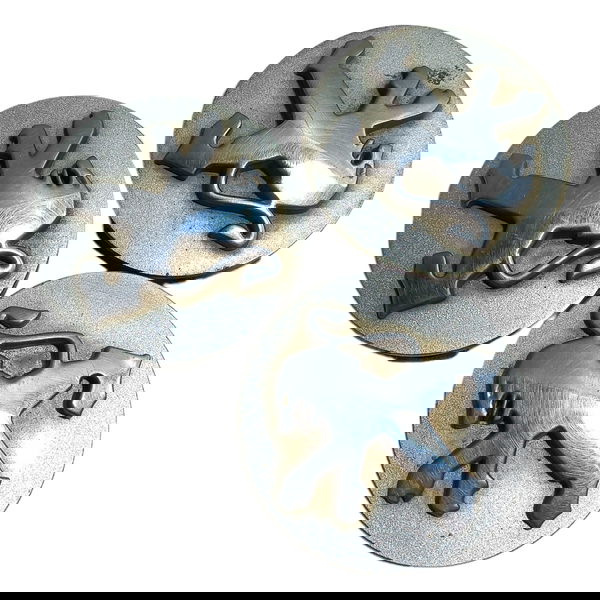 Calota Miolo Central Tampa Roda Peugeot 206  Prata